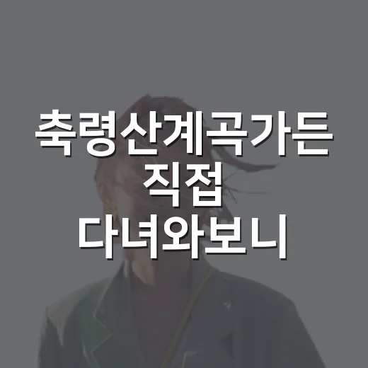 축령산계곡가든 직접 다녀와보니, 사진보다 더 좋았던 점과 은근 불편했던 점 - 요약