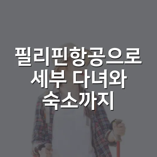 필리핀항공으로 세부 다녀와 숙소까지 잡아봤더니, 사진보다 중요했던 것들 - 요약