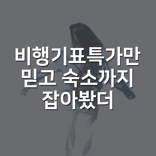 비행기표특가만 믿고 숙소까지 잡아봤더니 생긴 일 - 요약
