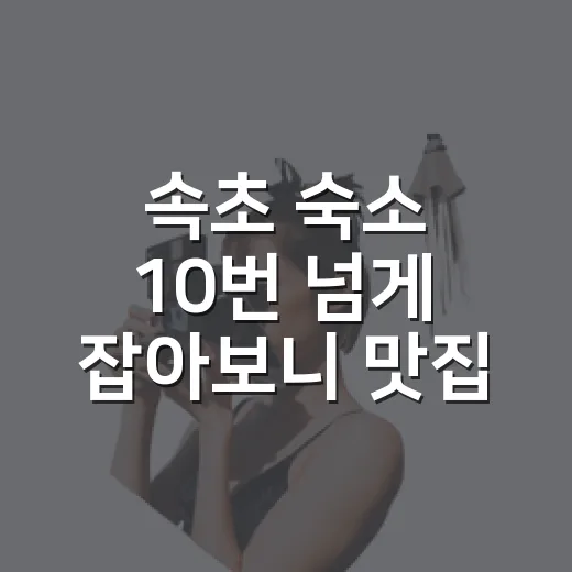 속초 숙소 10번 넘게 잡아보니 맛집은 위치부터 갈리더라 - 요약