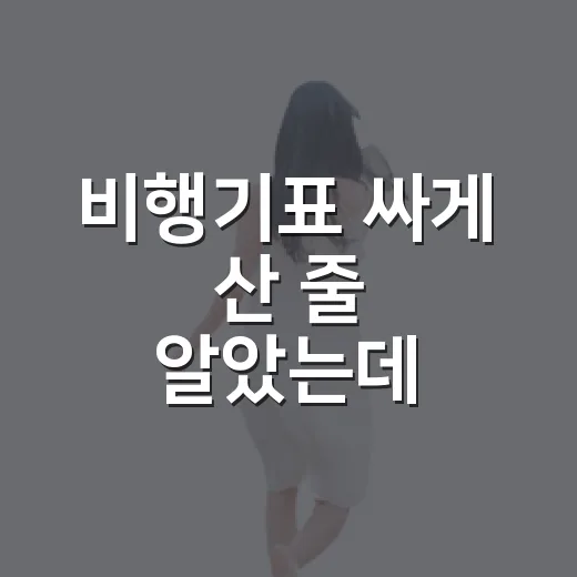 비행기표 싸게 산 줄 알았는데 숙소값에서 뒤집힌 이야기 - 요약