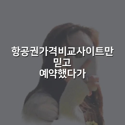 항공권가격비교사이트만 믿고 예약했다가 숙소비까지 꼬인 이야기 - 요약