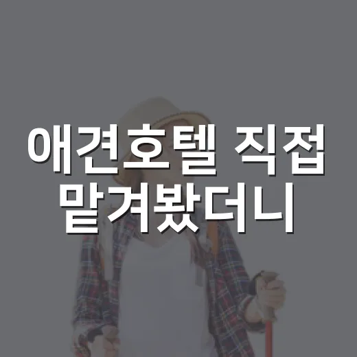 애견호텔 직접 맡겨봤더니, 사진보다 먼저 봐야 할 것들이 있더라 - 요약