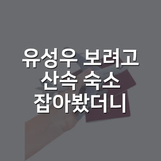 유성우 보려고 산속 숙소 잡아봤더니 사진보다 중요한 게 따로 있었다 - 요약