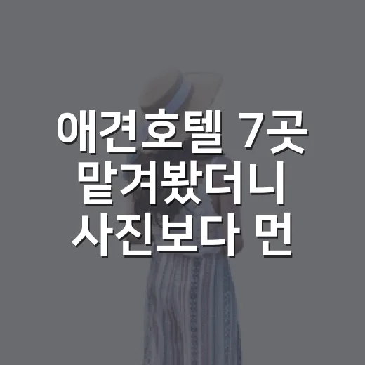 애견호텔 7곳 맡겨봤더니 사진보다 먼저 봐야 할 게 따로 있었습니다 - 요약