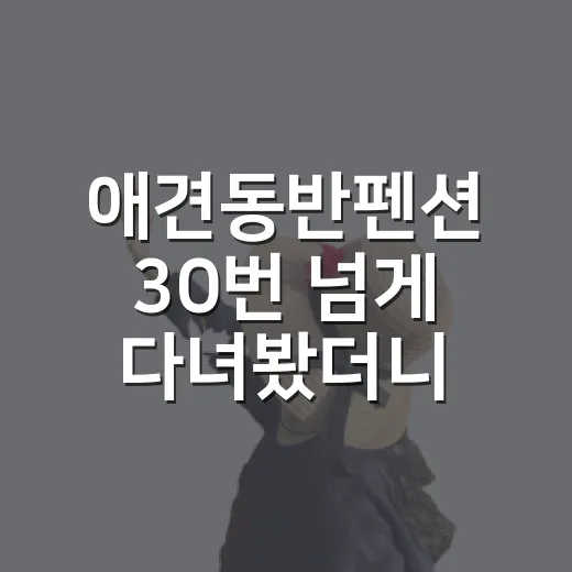 애견동반펜션 30번 넘게 다녀봤더니 사진보다 먼저 봐야 할 것들 - 요약