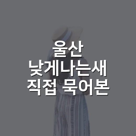 울산 낮게나는새 직접 묵어본 듯 따져본 후기, 사진보다 먼저 봐야 할 것들 - 요약