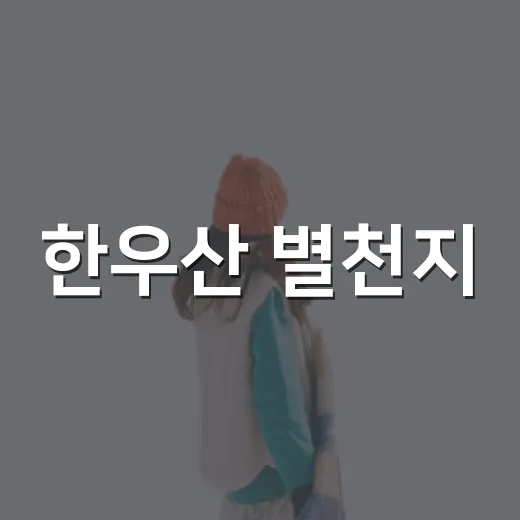 한우산 별천지, 별 보러 가기 전에 숙소 리뷰어 눈으로 따져본 진짜 이야기 - 요약