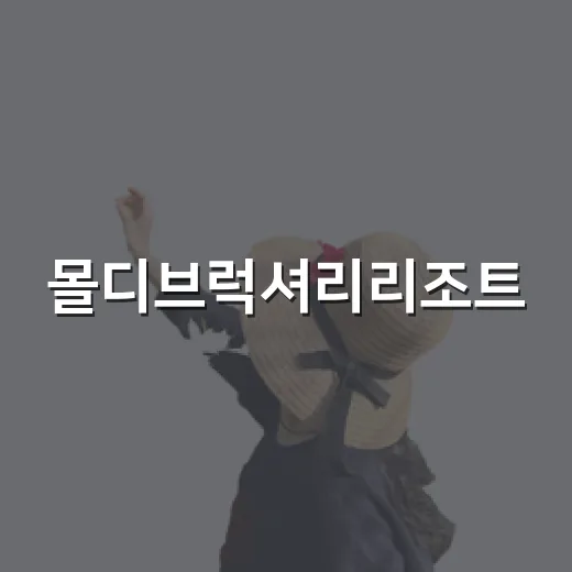 몰디브럭셔리리조트, 사진만 믿고 골랐다가 돈 아까웠던 포인트들 - 요약