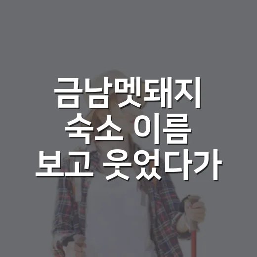 금남멧돼지 숙소 이름 보고 웃었다가, 주변까지 직접 따져본 후기 - 요약