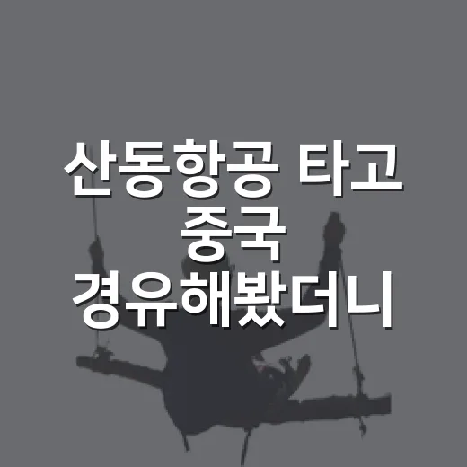 산동항공 타고 중국 경유해봤더니, 가격만 보고 고르면 놓치는 것들 - 요약