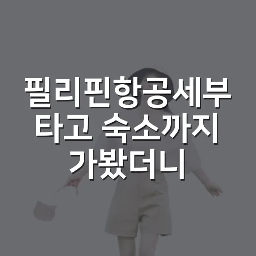 필리핀항공세부 타고 숙소까지 가봤더니, 사진보다 동선이 더 중요했습니다 - 요약