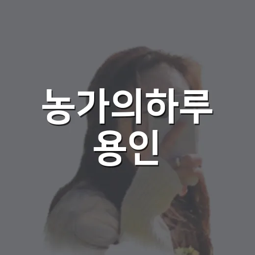 농가의하루 용인, 숙소 잡고 저녁 동선에 넣어봤더니 보인 것들 - 요약