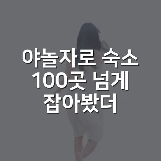 야놀자로 숙소 100곳 넘게 잡아봤더니 사진보다 먼저 보게 된 것들 - 요약