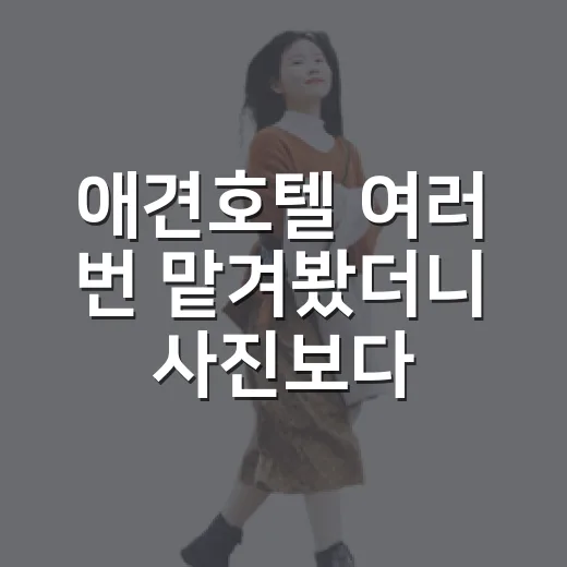 애견호텔 여러 번 맡겨봤더니 사진보다 냄새와 동선이 더 중요했습니다 - 요약