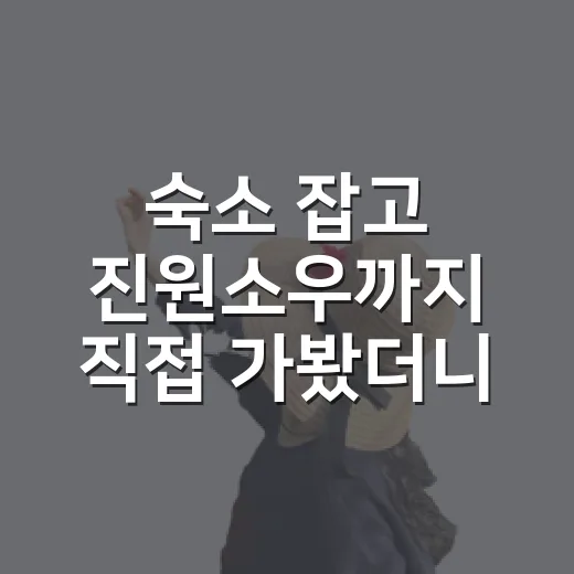 숙소 잡고 진원소우까지 직접 가봤더니, 사진보다 중요한 건 따로 있었다 - 요약