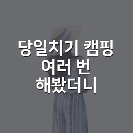 당일치기 캠핑 여러 번 해봤더니, 숙소 리뷰어 눈에 보인 진짜 장단점 - 요약