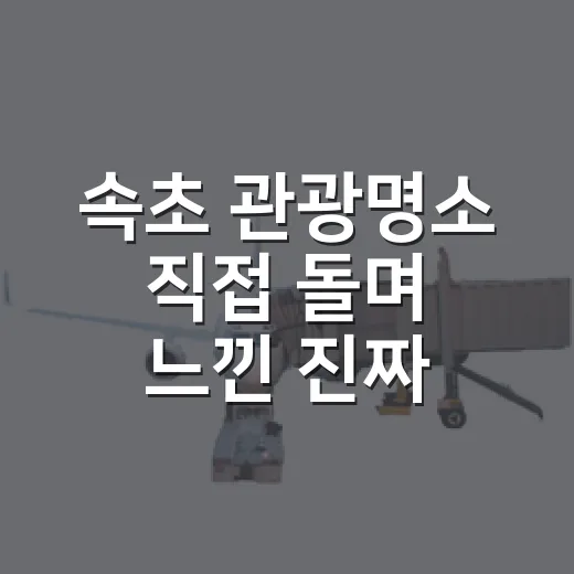 속초 관광명소 직접 돌며 느낀 진짜 동선, 숙소 위치까지 같이 봤더니 - 요약