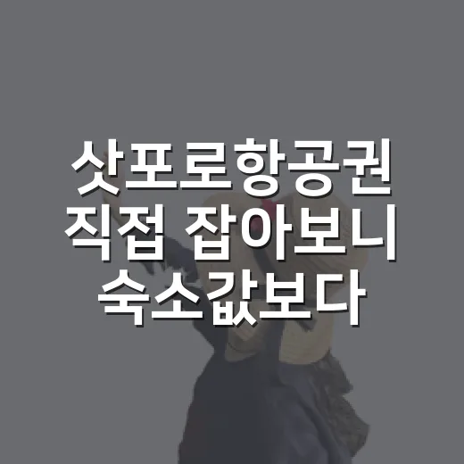 삿포로항공권 직접 잡아보니 숙소값보다 더 무서웠던 진짜 이야기 - 요약