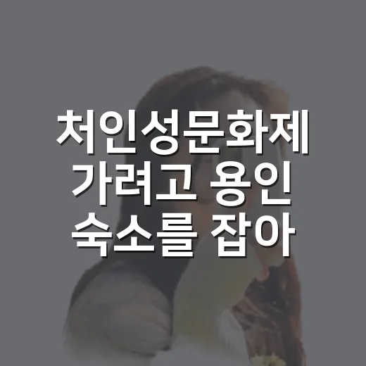 처인성문화제 가려고 용인 숙소를 잡아보니, 위치보다 먼저 봐야 할 게 있더라 - 요약