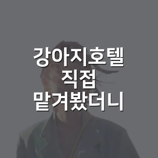 강아지호텔 직접 맡겨봤더니, 예쁜 사진보다 먼저 봐야 할 것들 - 요약