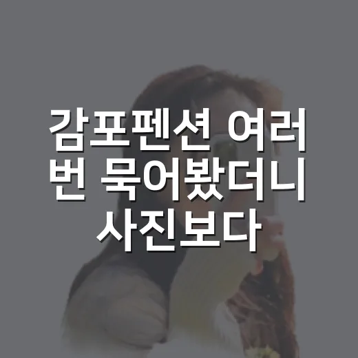 감포펜션 여러 번 묵어봤더니 사진보다 먼저 봐야 할 게 있더라 - 요약