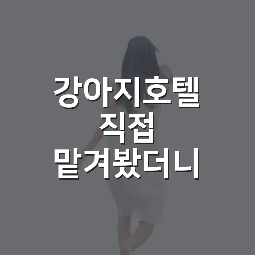 강아지호텔 직접 맡겨봤더니 사진보다 먼저 봐야 할 것들이 있더라 - 요약