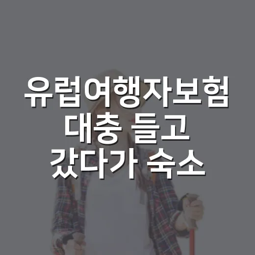 유럽여행자보험 대충 들고 갔다가 숙소 계단에서 생각이 바뀐 이야기 - 요약