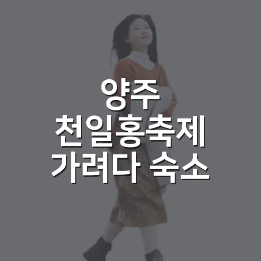 양주 천일홍축제 가려다 숙소 동선부터 다시 본 이야기 - 요약