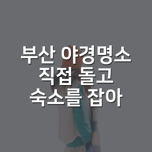 부산 야경명소 직접 돌고 숙소를 잡아봤더니 보이던 진짜 차이 - 요약