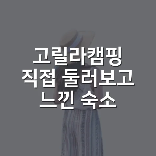 고릴라캠핑 직접 둘러보고 느낀 숙소 여행자의 장비 고르는 이야기 - 요약