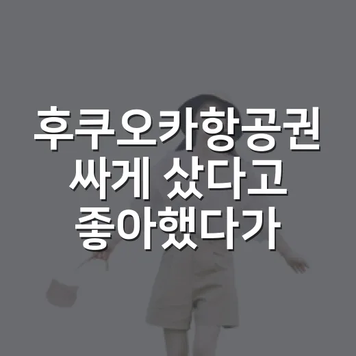후쿠오카항공권 싸게 샀다고 좋아했다가 시간표에서 한 번 걸러낸 이야기 - 요약