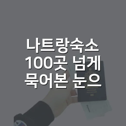 나트랑숙소 100곳 넘게 묵어본 눈으로 고르니 사진보다 위치가 먼저 보였다 - 요약