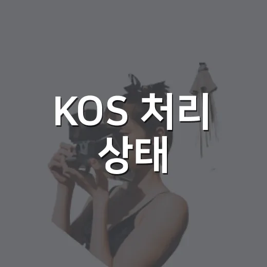 KOS 처리 상태 - 요약
