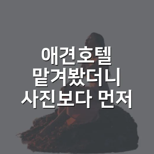 애견호텔 맡겨봤더니 사진보다 먼저 봐야 할 게 있었습니다 - 요약