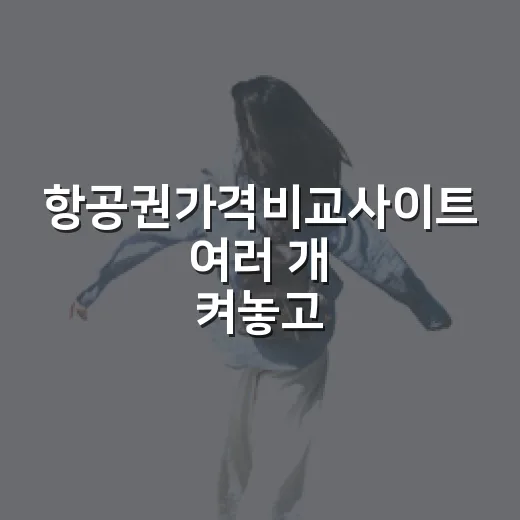 항공권가격비교사이트 여러 개 켜놓고 예매해봤더니, 숙소값보다 항공권에서 더 많이 갈렸다 - 요약