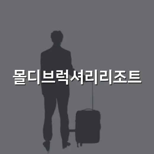 몰디브럭셔리리조트, 사진만 믿고 골랐다가 후회하는 포인트 직접 따져본 이야기 - 요약