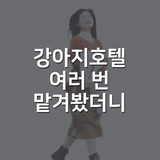 강아지호텔 여러 번 맡겨봤더니 사진보다 먼저 봐야 할 것들 - 요약