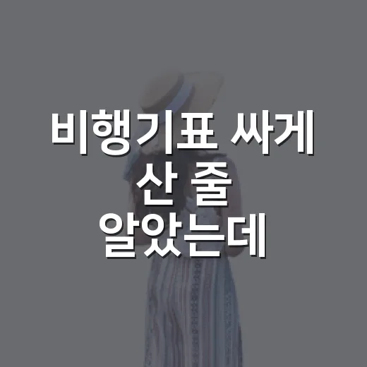 비행기표 싸게 산 줄 알았는데 숙소비가 더 나왔던 진짜 후기 - 요약