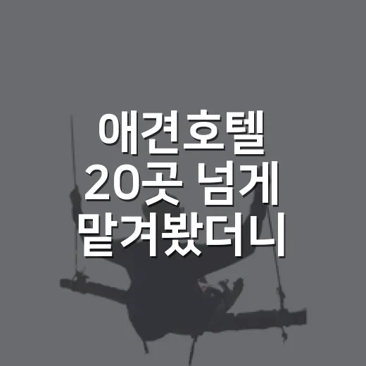 애견호텔 20곳 넘게 맡겨봤더니, 사진보다 먼저 봐야 할 것들 - 요약