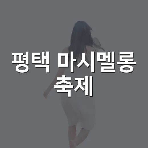 평택 마시멜롱 축제, 숙소 잡기 전에 동선부터 따져본 진짜 이야기 - 요약