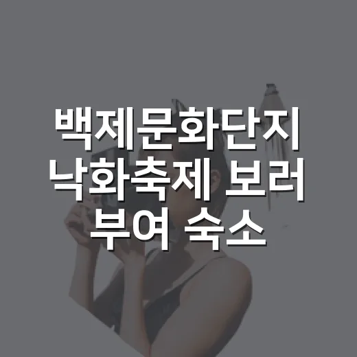 백제문화단지 낙화축제 보러 부여 숙소 잡아봤더니, 사진보다 동선이 더 중요했다 - 요약