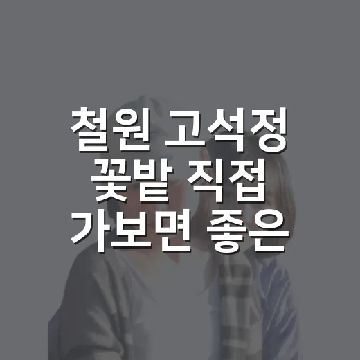 철원 고석정 꽃밭 직접 가보면 좋은 점과 아쉬운 점이 꽤 갈리는 이유 - 요약