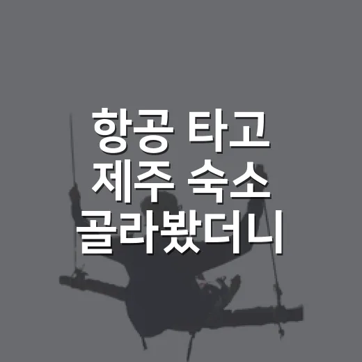 항공 타고 제주 숙소 골라봤더니 사진보다 중요한 게 보였다 - 요약