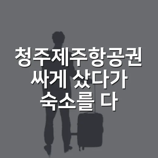 청주제주항공권 싸게 샀다가 숙소를 다시 골랐다 - 요약