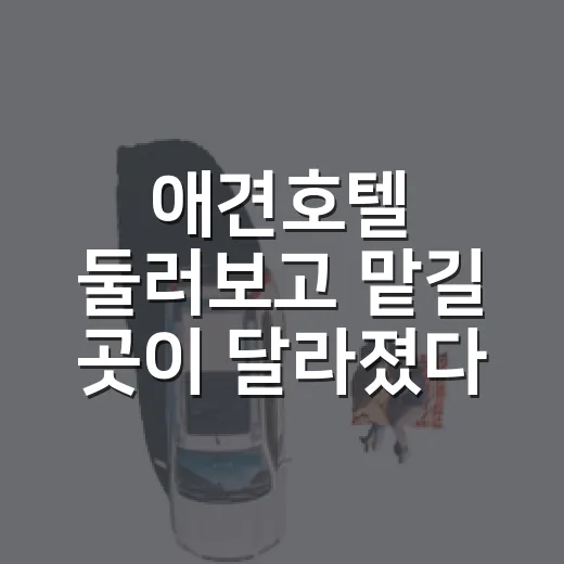 애견호텔 둘러보고 맡길 곳이 달라졌다 - 요약