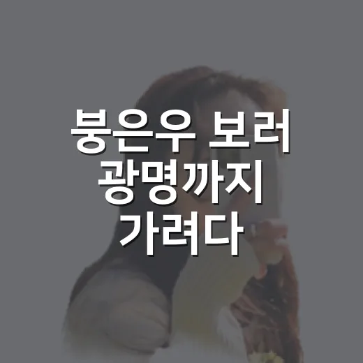 붕은우 보러 광명까지 가려다 숙소부터 다시 봤다 - 요약