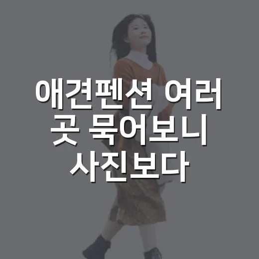애견펜션 여러 곳 묵어보니 사진보다 먼저 볼 게 있었다 - 요약