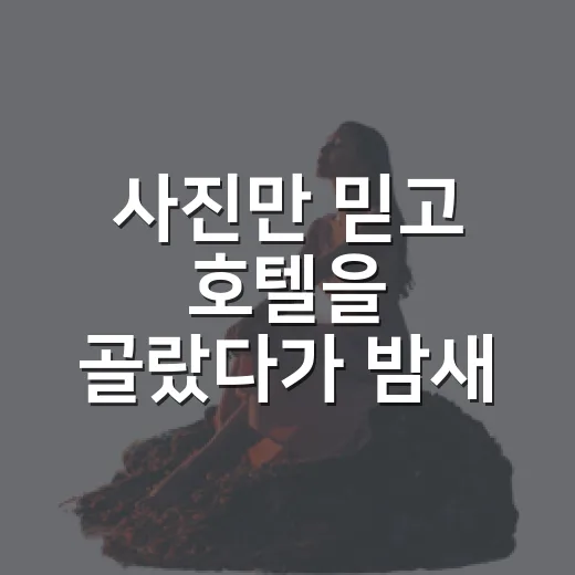 사진만 믿고 호텔을 골랐다가 밤새 잠을 설쳤다 - 요약