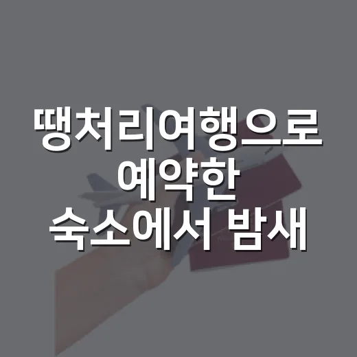 땡처리여행으로 예약한 숙소에서 밤새 뒤척인 이유 - 요약